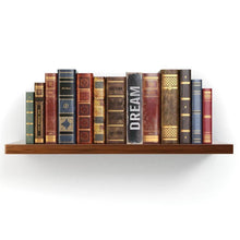 Load image into Gallery viewer, HIDE-A-WAY BOOK [libro de camulaje]
